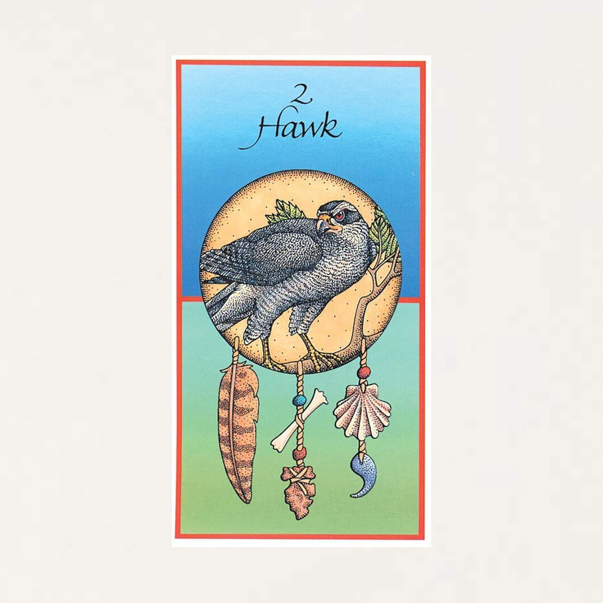 Medicine Cards & Book